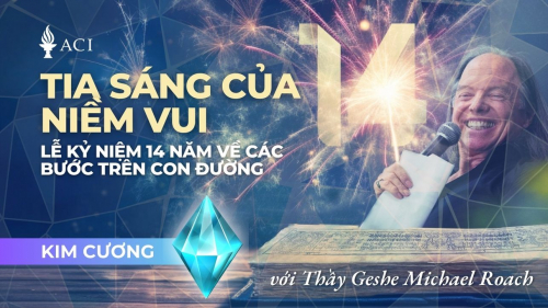 Tia Sáng của Niềm Vui: Lễ kỷ niệm 14 năm của Những Bước Trên Con Đường (Kim cương)