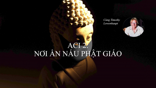 ACI 2: NƠI ẨN NÁU CỦA PHẬT GIÁO (Tác giả: Timothy Lowenhaupt) 